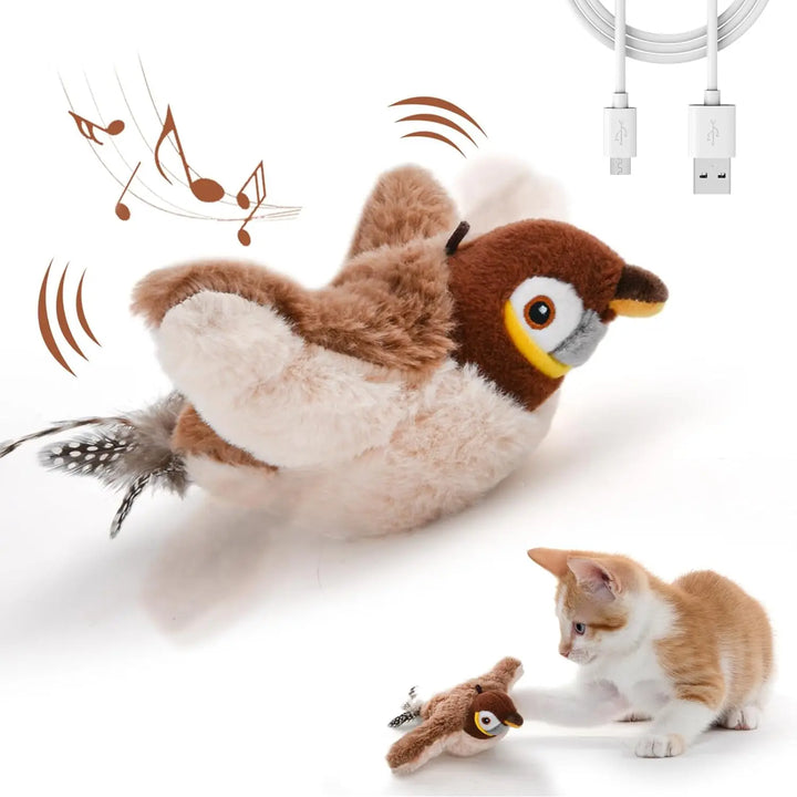 Chasey Bird