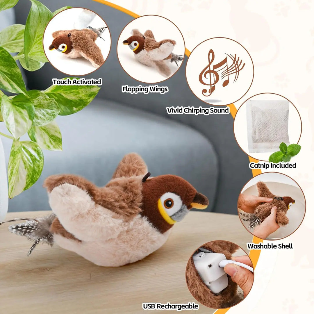 Chasey Bird